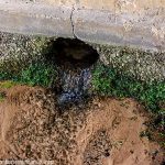 La Fontaine St-Esprit