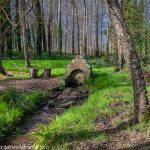 La Fontaine de Tréminou