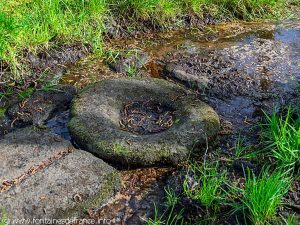 La Fontaine de Tréminou