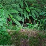 La Source St-Clair
