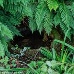 La Source St-Clair
