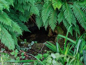 La Source St-Clair