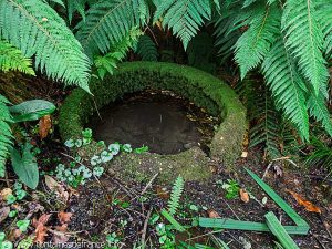 La Source St-Clair