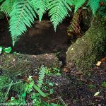 La Source St-Clair