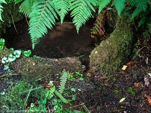 La Source St-Clair