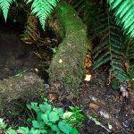 La Source St-Clair