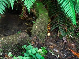 La Source St-Clair